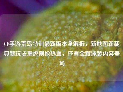 CF手游荒岛特训最新版本全解析，新地图新载具新玩法重燃刚枪热血，还有全新泳装内容登场