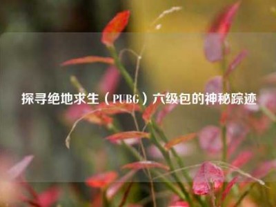 探寻绝地求生（PUBG）六级包的神秘踪迹