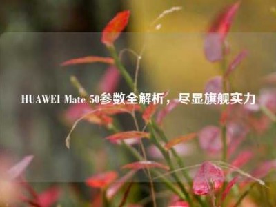 HUAWEI Mate 50参数全解析，尽显旗舰实力