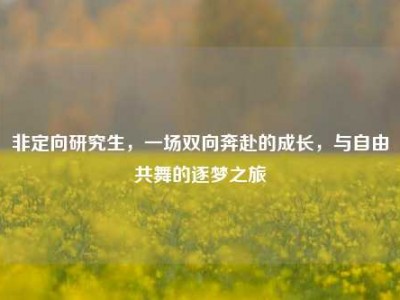 非定向研究生，一场双向奔赴的成长，与自由共舞的逐梦之旅