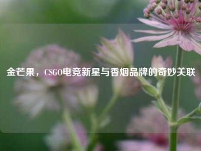 金芒果，CSGO电竞新星与香烟品牌的奇妙关联