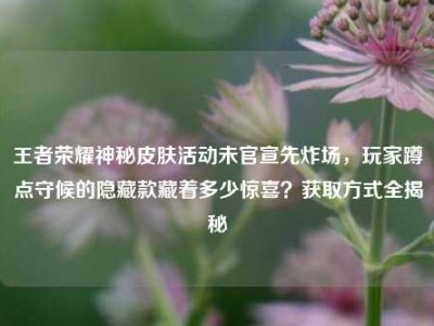 王者荣耀神秘皮肤活动未官宣先炸场，玩家蹲点守候的隐藏款藏着多少惊喜？获取方式全揭秘