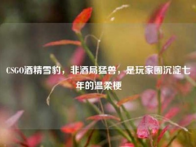 CSGO酒精雪豹，非酒局猛兽，是玩家圈沉淀七年的温柔梗