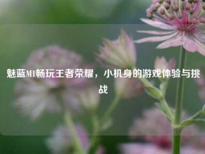 魅蓝M1畅玩王者荣耀，小机身的游戏体验与挑战