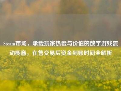 Steam市场，承载玩家热爱与价值的数字游戏流动橱窗，在售交易后资金到账时间全解析