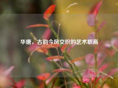 华唐，古韵今风交织的艺术职高
