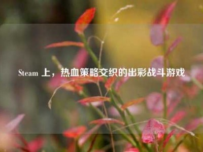 Steam 上，热血策略交织的出彩战斗游戏