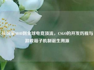 从玩家MOD到全球电竞顶流，CSGO的开发历程与游戏箱子机制诞生溯源