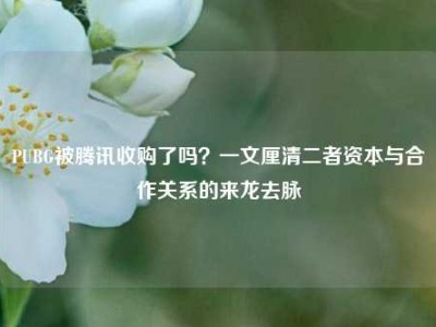 PUBG被腾讯收购了吗？一文厘清二者资本与合作关系的来龙去脉