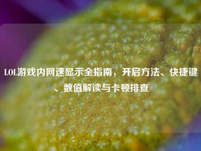 LOL游戏内网速显示全指南，开启方法、快捷键、数值解读与卡顿排查