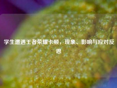学生遭遇王者荣耀卡顿，现象、影响与应对反思