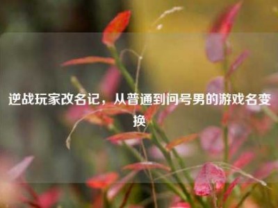 逆战玩家改名记，从普通到问号男的游戏名变换