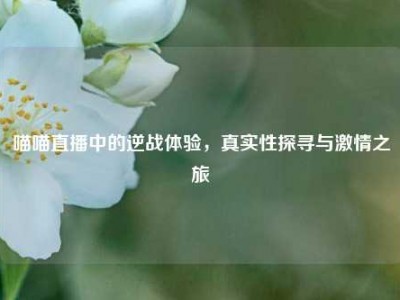 喵喵直播中的逆战体验，真实性探寻与激情之旅