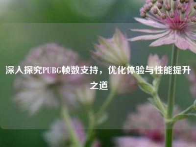 深入探究PUBG帧数支持，优化体验与性能提升之道