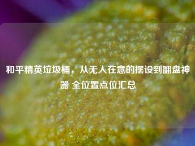 和平精英垃圾桶，从无人在意的摆设到翻盘神器 全位置点位汇总