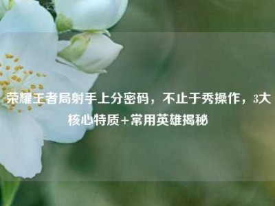 荣耀王者局射手上分密码，不止于秀操作，3大核心特质+常用英雄揭秘