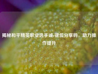 揭秘和平精英职业选手诚c键位分享码，助力操作提升