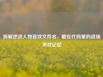 拆解逆战人物音效文件名，藏在代码里的战场声纹记忆