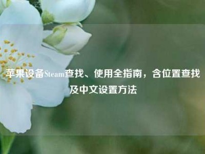 苹果设备Steam查找、使用全指南，含位置查找及中文设置方法