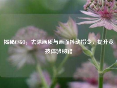 揭秘CSGO，去除画质与画面抖动指令，提升竞技体验秘籍