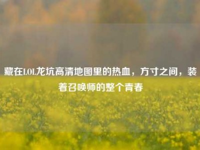 藏在LOL龙坑高清地图里的热血，方寸之间，装着召唤师的整个青春