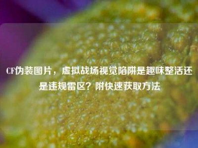 CF伪装图片，虚拟战场视觉陷阱是趣味整活还是违规雷区？附快速获取方法