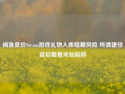 闲鱼低价Steam游戏礼物入库暗藏风险 所谓捷径背后藏着未知陷阱