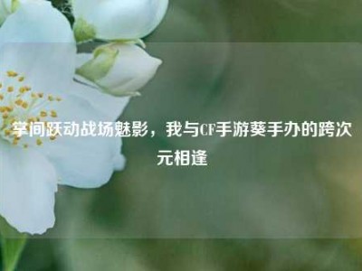 掌间跃动战场魅影，我与CF手游葵手办的跨次元相逢