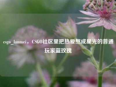 csgo_lanmei，CSGO社区里把热爱熬成星光的普通玩家蓝玫瑰