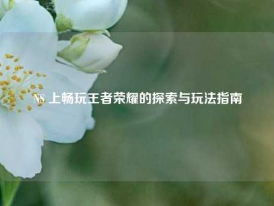 NS 上畅玩王者荣耀的探索与玩法指南