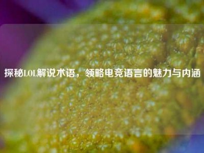 探秘LOL解说术语，领略电竞语言的魅力与内涵