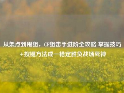 从架点到甩狙，CF狙击手进阶全攻略 掌握技巧+按键方法成一枪定胜负战场死神