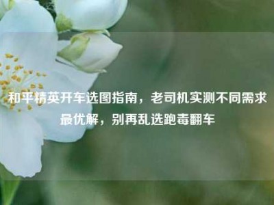 和平精英开车选图指南，老司机实测不同需求最优解，别再乱选跑毒翻车