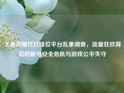 王者荣耀代打排位平台乱象调查，流量狂欢背后的账号安全危机与游戏公平失守