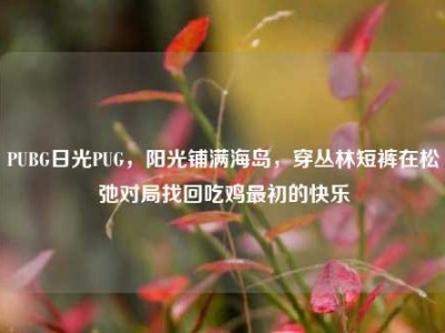 PUBG日光PUG，阳光铺满海岛，穿丛林短裤在松弛对局找回吃鸡最初的快乐