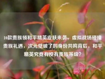10款贵族领和平精英皮肤来袭，虚拟战场碰撞贵族礼遇，次元壁破了的身份共鸣背后，和平精英究竟有没有贵族等级？