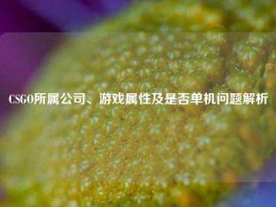 CSGO所属公司、游戏属性及是否单机问题解析