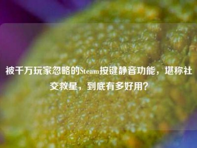 被千万玩家忽略的Steam按键静音功能，堪称社交救星，到底有多好用？