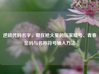 逆战代码名字，藏在枪火里的玩家暗号、青春密码与名称符号输入方法