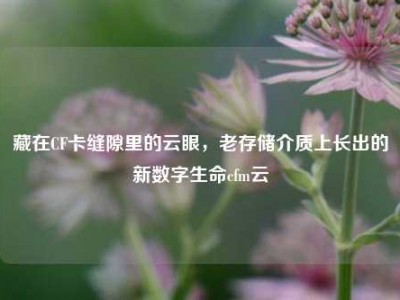 藏在CF卡缝隙里的云眼，老存储介质上长出的新数字生命cfm云