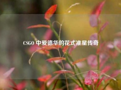 CSGO 中爱德华的花式准星传奇
