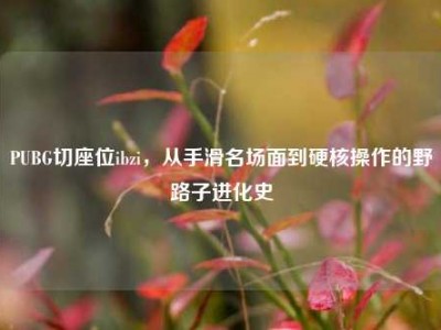 PUBG切座位ibzi，从手滑名场面到硬核操作的野路子进化史