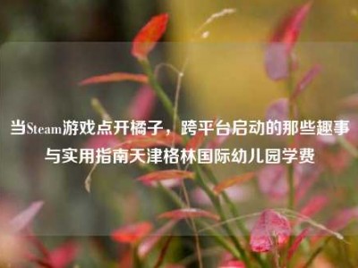 当Steam游戏点开橘子，跨平台启动的那些趣事与实用指南天津格林国际幼儿园学费