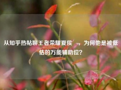 从知乎热帖聊王者荣耀夏侯惇，为何他是被低估的万能辅助位？