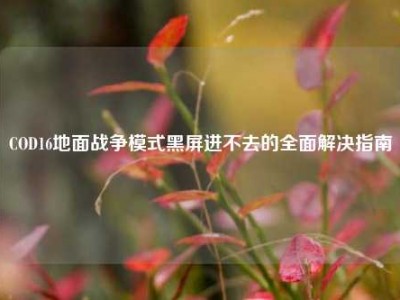 COD16地面战争模式黑屏进不去的全面解决指南