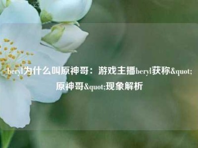 beryl为什么叫原神哥：游戏主播beryl获称"原神哥"现象解析