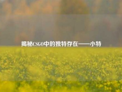 揭秘CSGO中的独特存在——小特