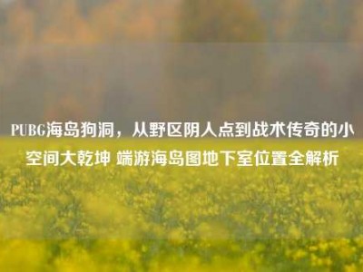 PUBG海岛狗洞，从野区阴人点到战术传奇的小空间大乾坤 端游海岛图地下室位置全解析