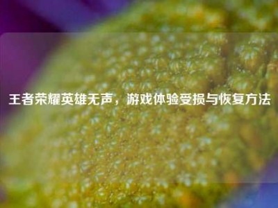 王者荣耀英雄无声，游戏体验受损与恢复方法