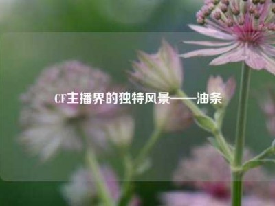 CF主播界的独特风景——油条